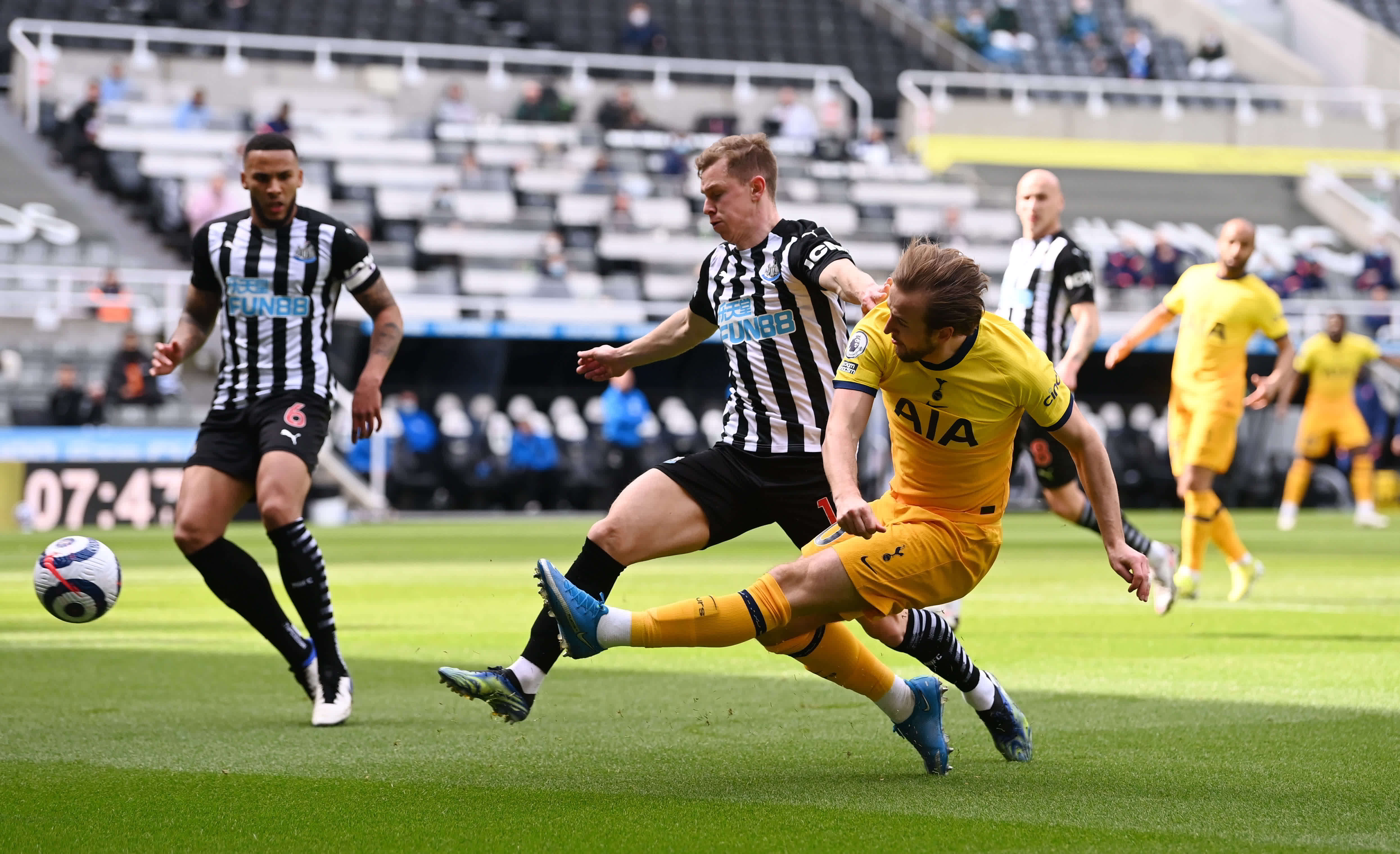 确立了自己 确立了自己