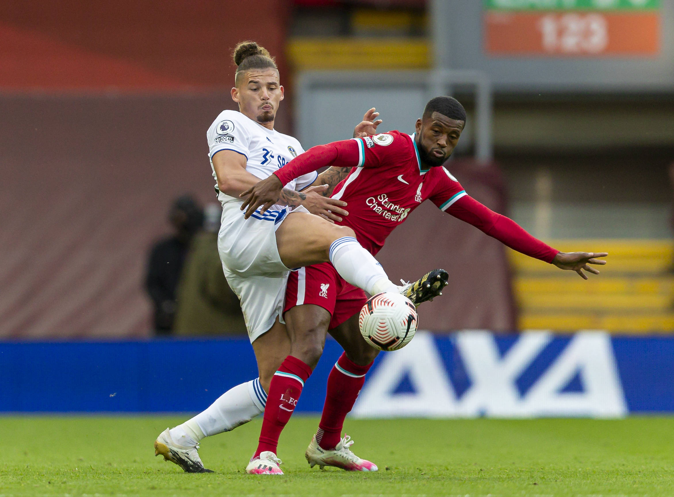 众多球迷的 众多球迷的